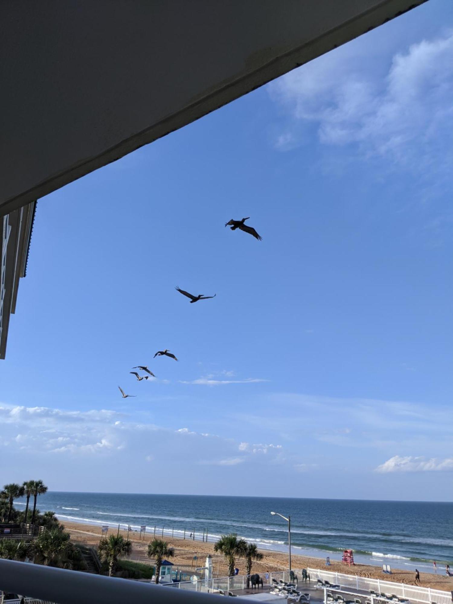 Royal Floridian Resort By Spinnaker Ormond Beach Zewnętrze zdjęcie